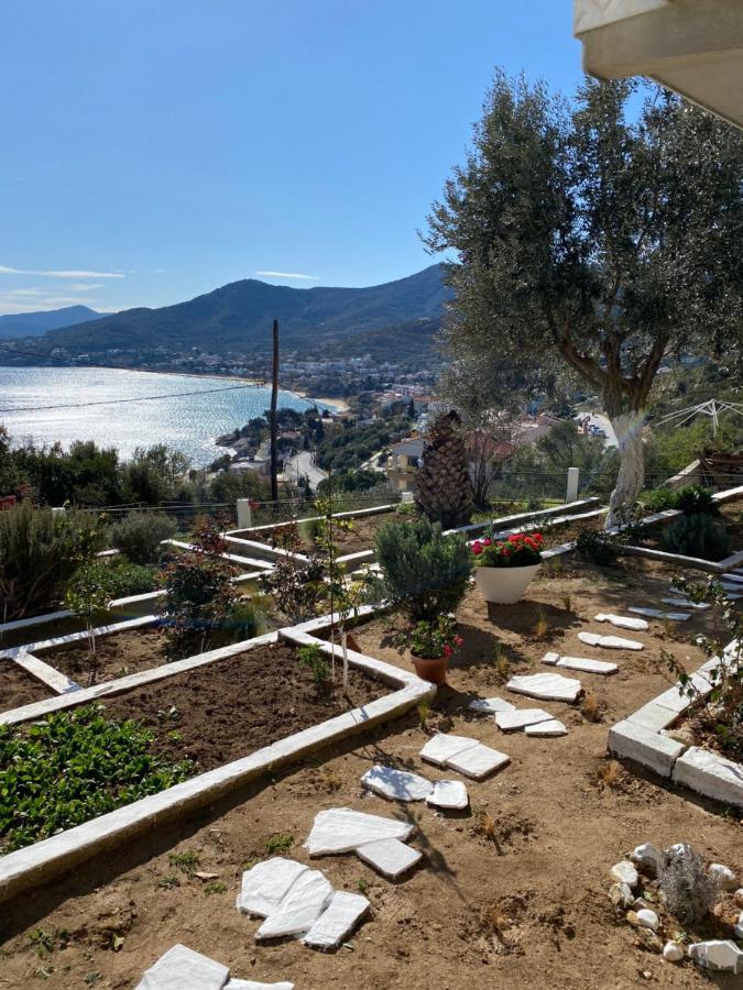 Mimoza'S Sea View Apartment PalaiónTsiflíkion Dış mekan fotoğraf