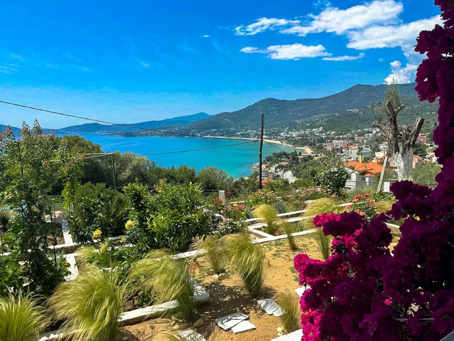 Mimoza'S Sea View Apartment PalaiónTsiflíkion Dış mekan fotoğraf