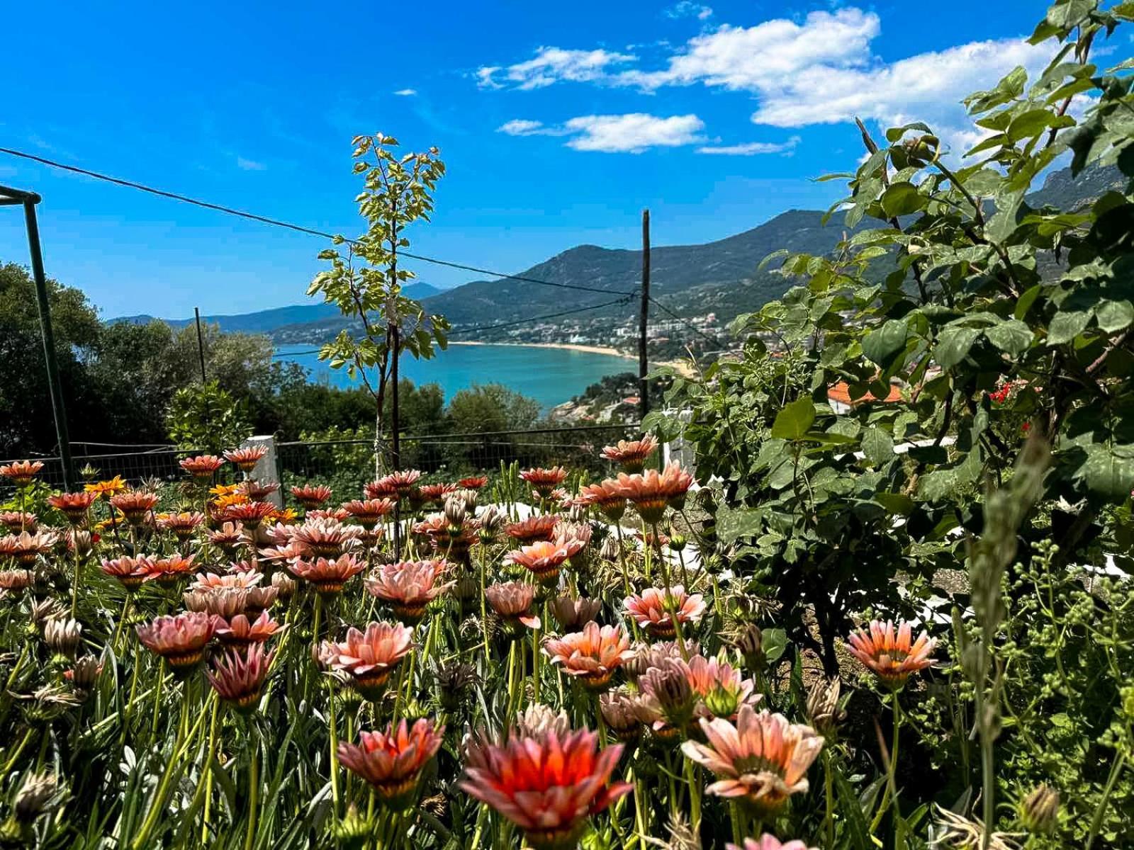 Mimoza'S Sea View Apartment PalaiónTsiflíkion Dış mekan fotoğraf